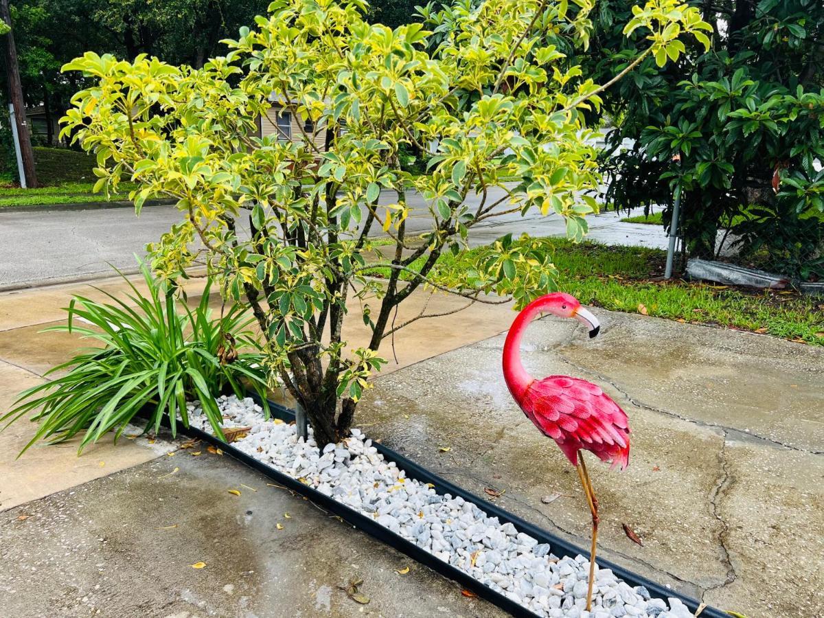 3Bdrm Fruit Tree Home Near Downtown Orlando Exteriör bild