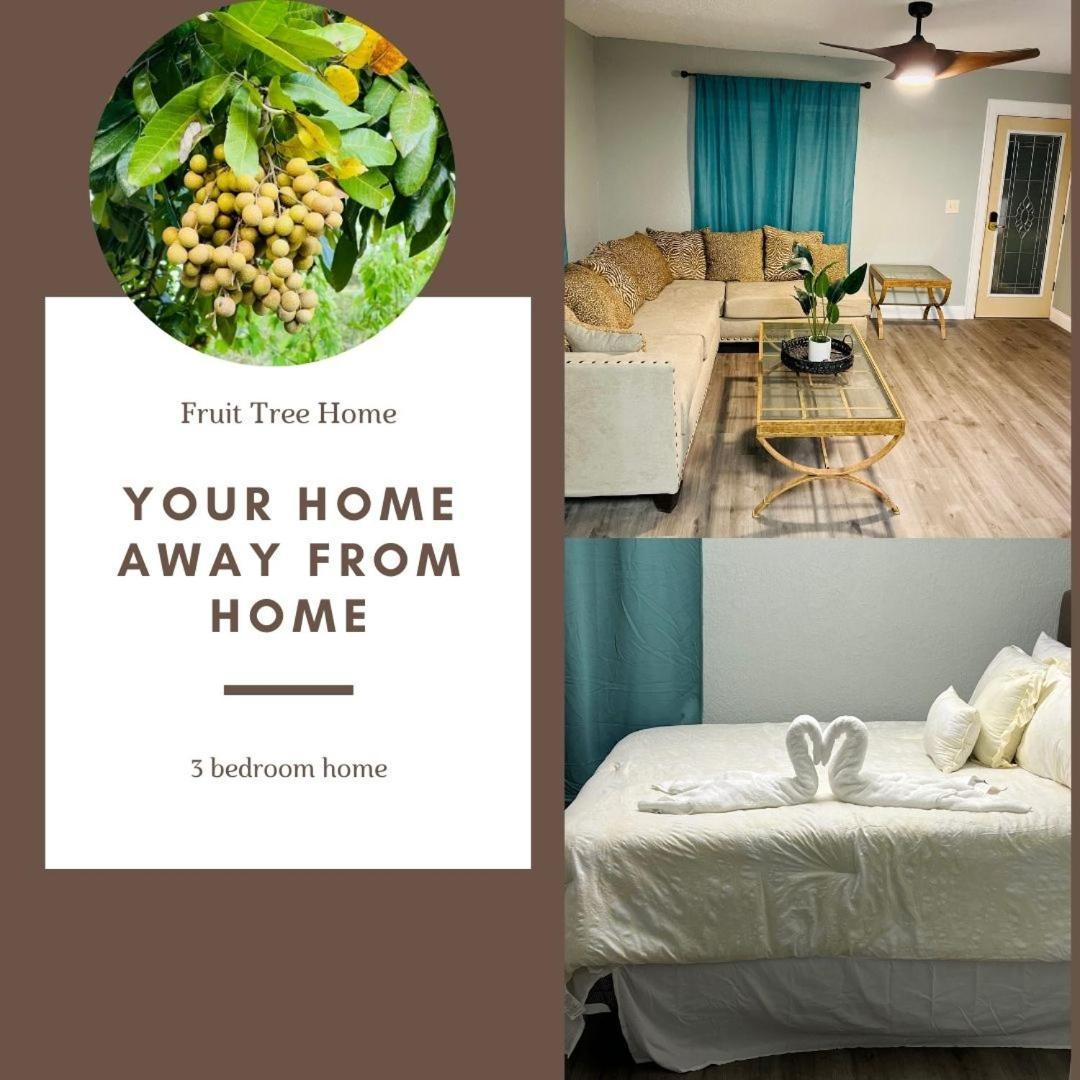 3Bdrm Fruit Tree Home Near Downtown Orlando Exteriör bild